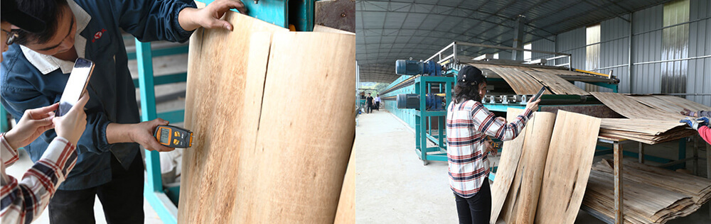 单板午夜AV在线播放 单板午夜AV在线播放