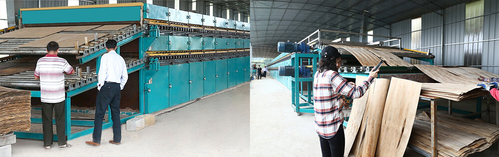 单板午夜AV在线播放 单板午夜AV在线播放