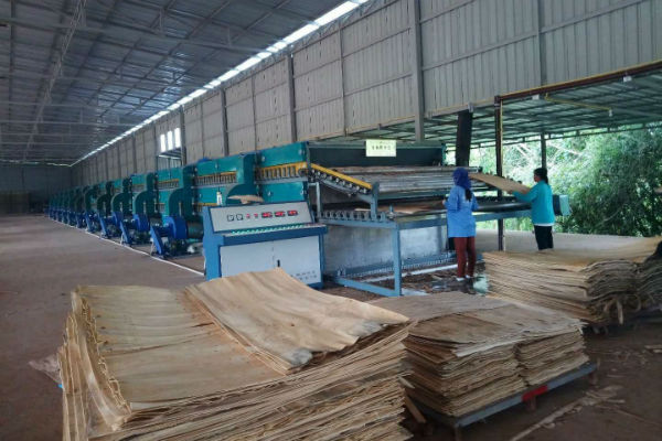 双层单板午夜AV在线播放 双层单板午夜AV在线播放