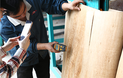 保定多层辊筒午夜AV在线播放多少钱