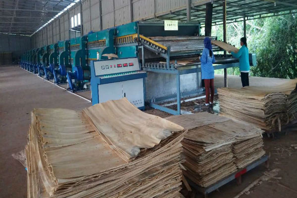 单板午夜AV在线播放生产线