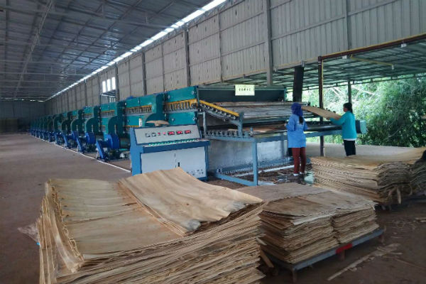 木材午夜AV在线播放工作现场 木材午夜AV在线播放工作现场