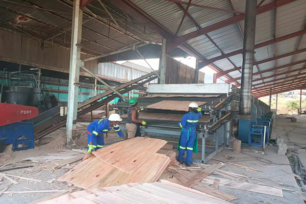 杨木单板国产午夜在线看