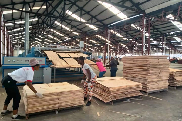 芯板午夜AV在线播放