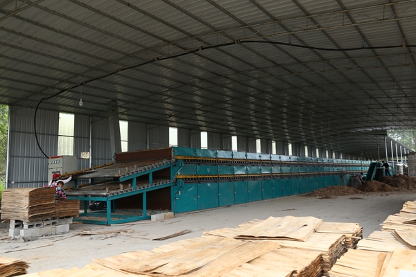 自动进板午夜AV在线播放