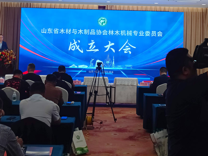 单板午夜AV在线播放